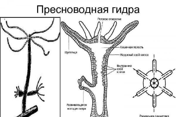 Black sprut market что это