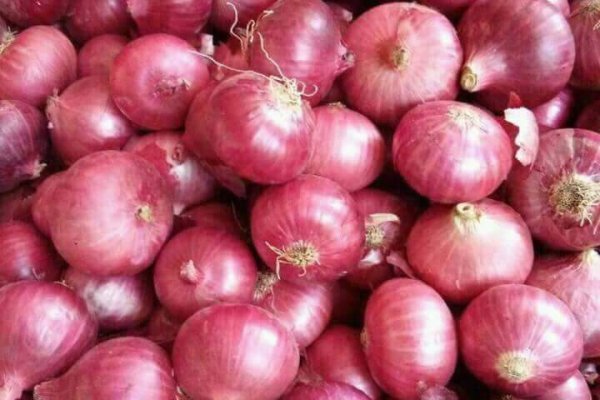 Блэкспрут onion ссылка 1blacksprut me